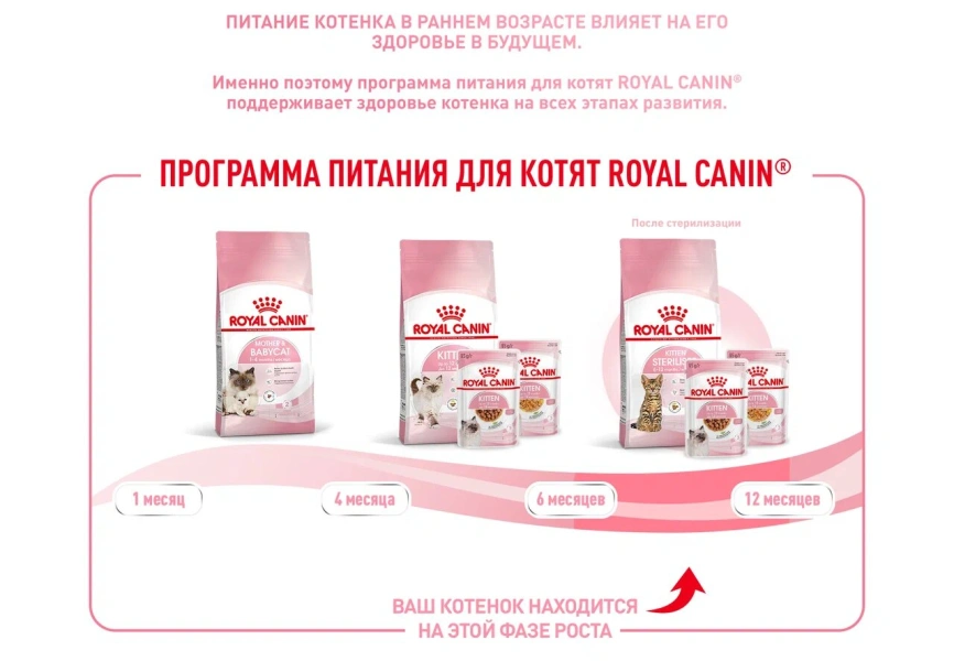 Сухой корм Royal Canin Kitten Sterilised для котят, 2 кг фото 13