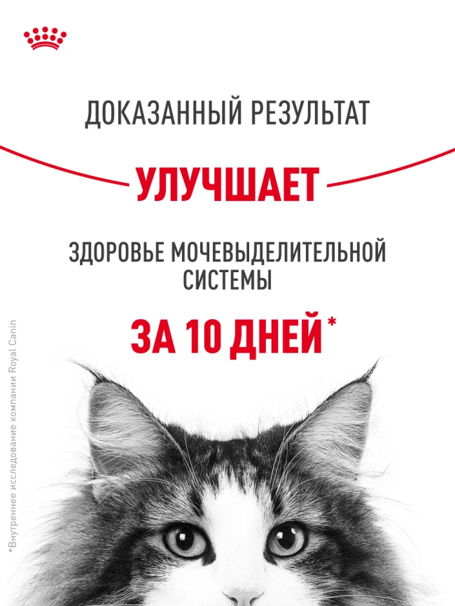 Сухой корм Royal Canin Urinary Care для кошек для профилактика МКБ, 4 кг фото 20