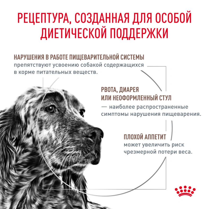 Сухой корм Royal Canin Gastrointestinal для собак, 15 кг фото 3