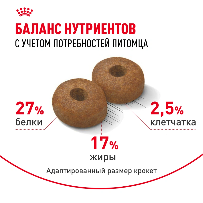 Сухой корм Royal Canin Maxi Ageing 8+ для собак, 3 кг фото 4