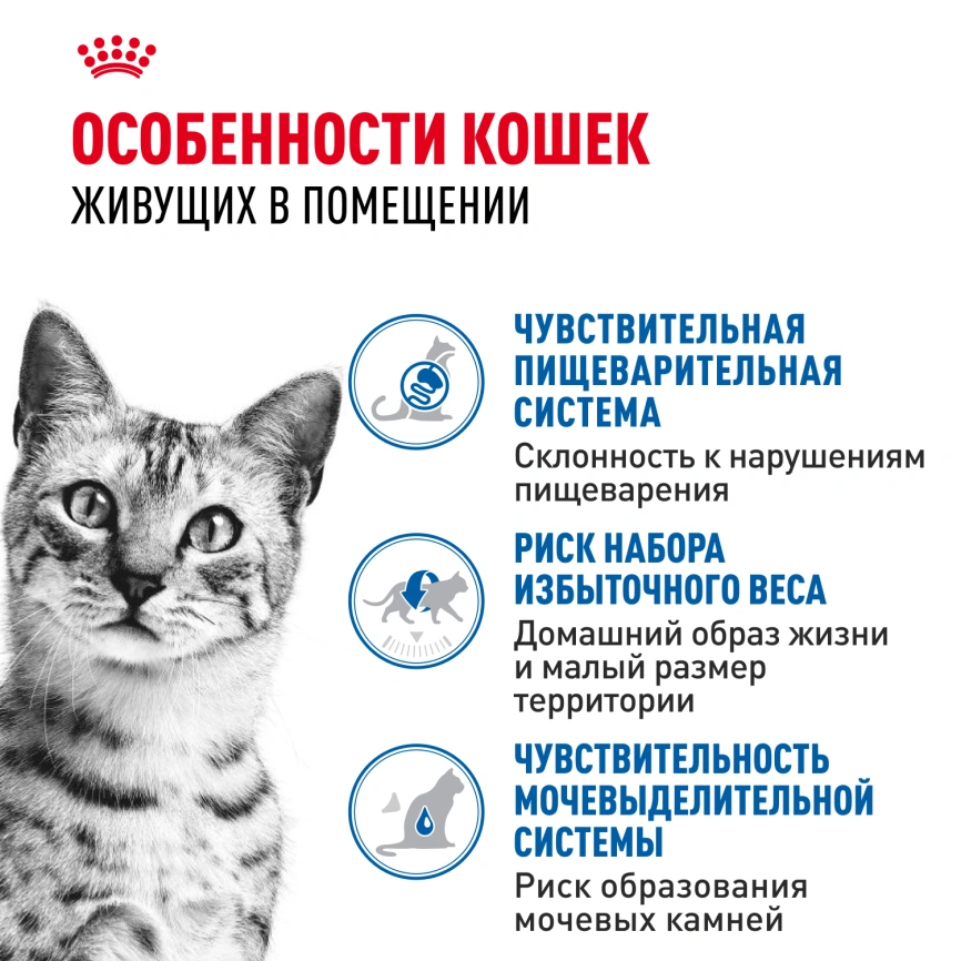 Влажный корм Royal Canin Indoor в соусе для кошек, живущих в помещении, пауч, 85 г фото 2