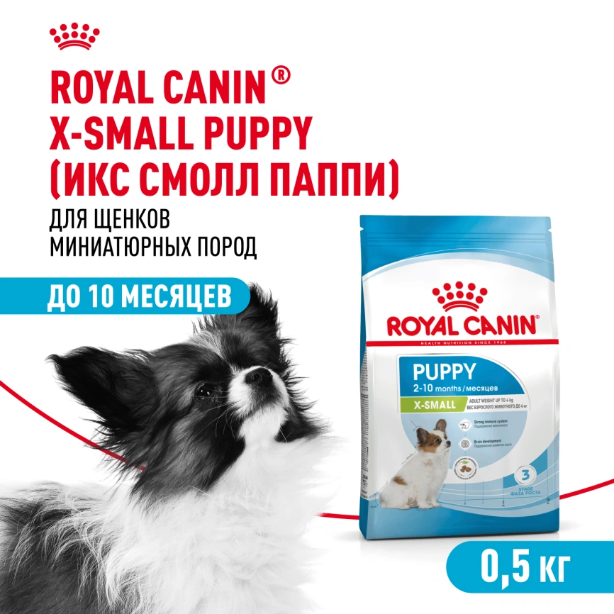 Сухой корм Royal Canin X-Small Puppy для щенков, 500 г фото 1