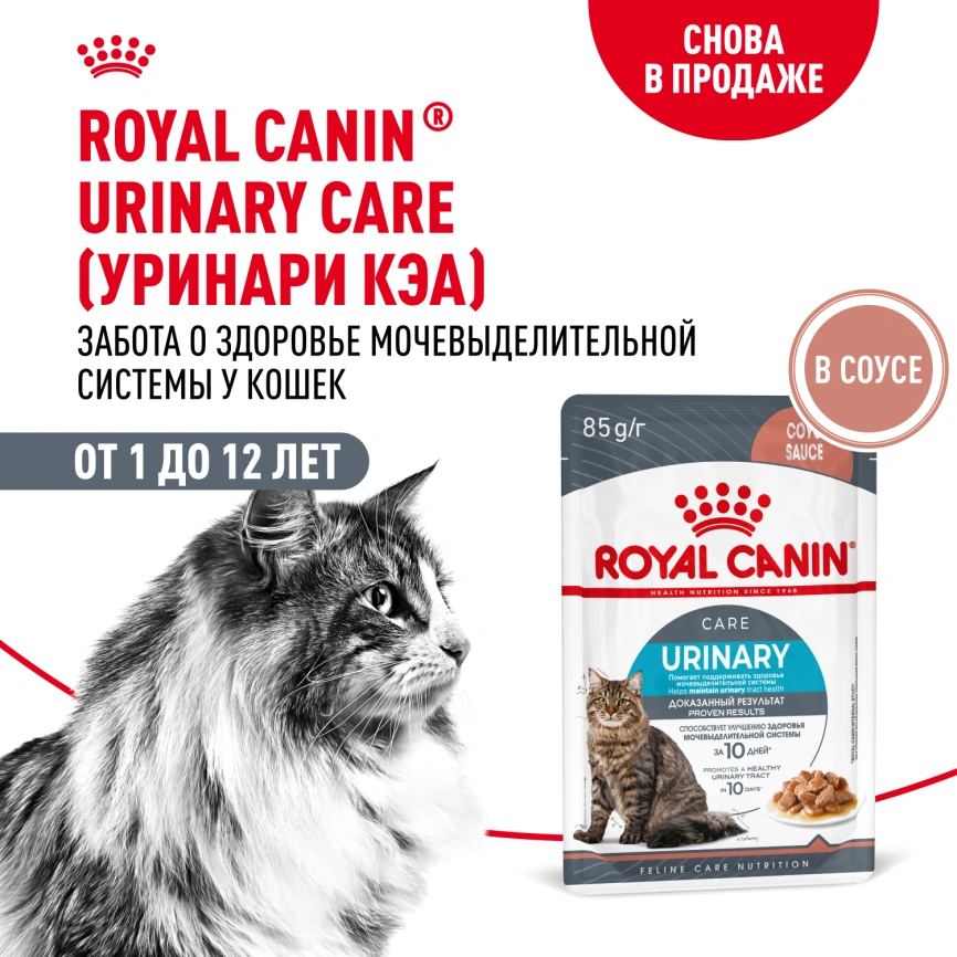 Влажный корм Royal Canin Urinary Care в соусе для кошек для поддержания здоровья мочевыделительной системы, пауч, 85 г фото 15
