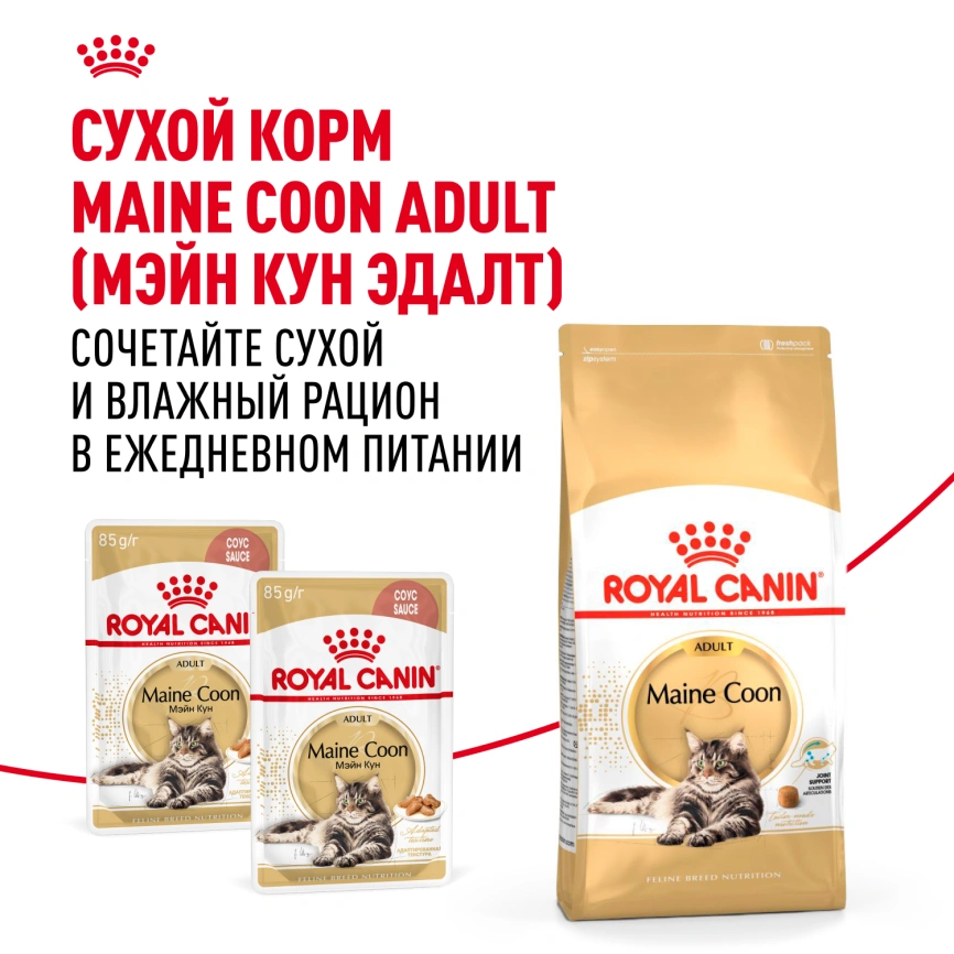 Влажный корм Royal Canin Maine Coon в соусе для кошек породы мейн-кун и других крупных пород старше 1 года, пауч, 85 г фото 9