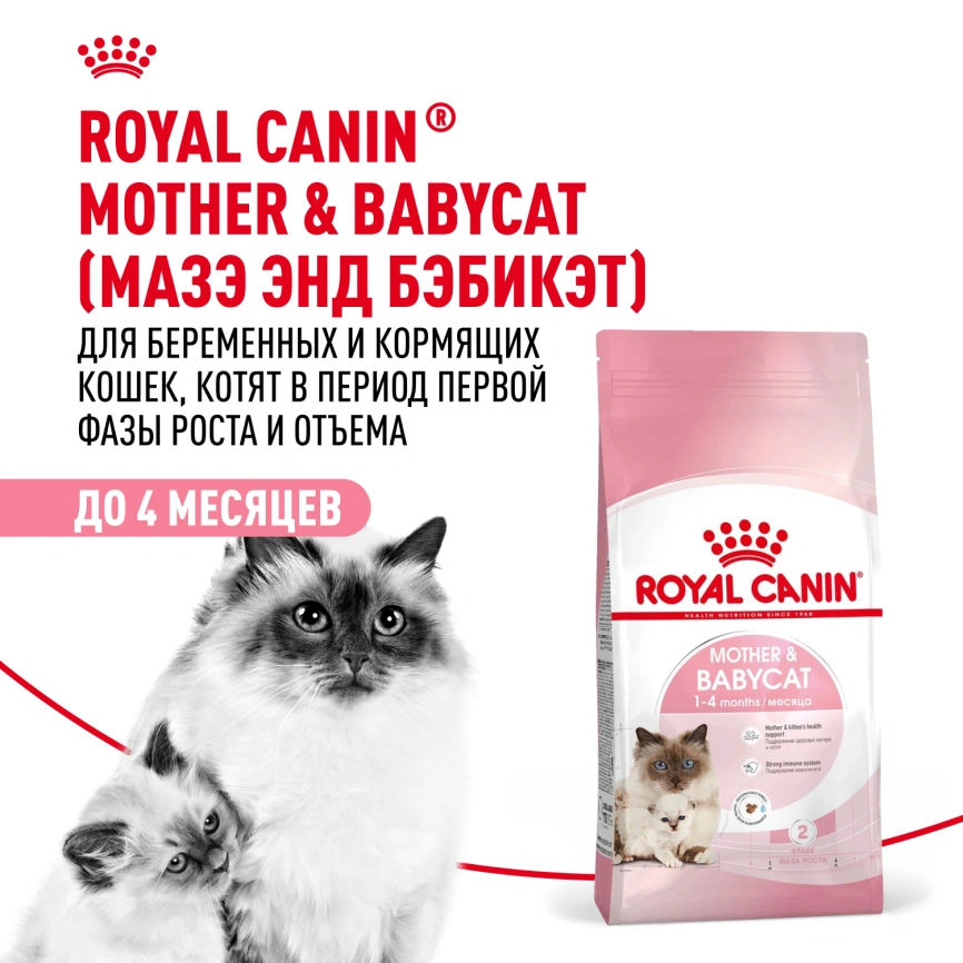 Сухой корм Royal Cаnin Mother & Babycat для котят, беременных и лактирующих кошек, 400 г фото 12