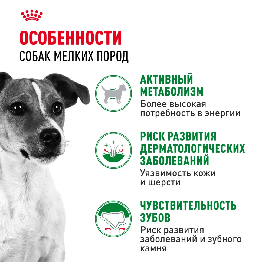 Сухой корм Royal Canin Mini Adult для взрослых собак, 2 кг фото 3