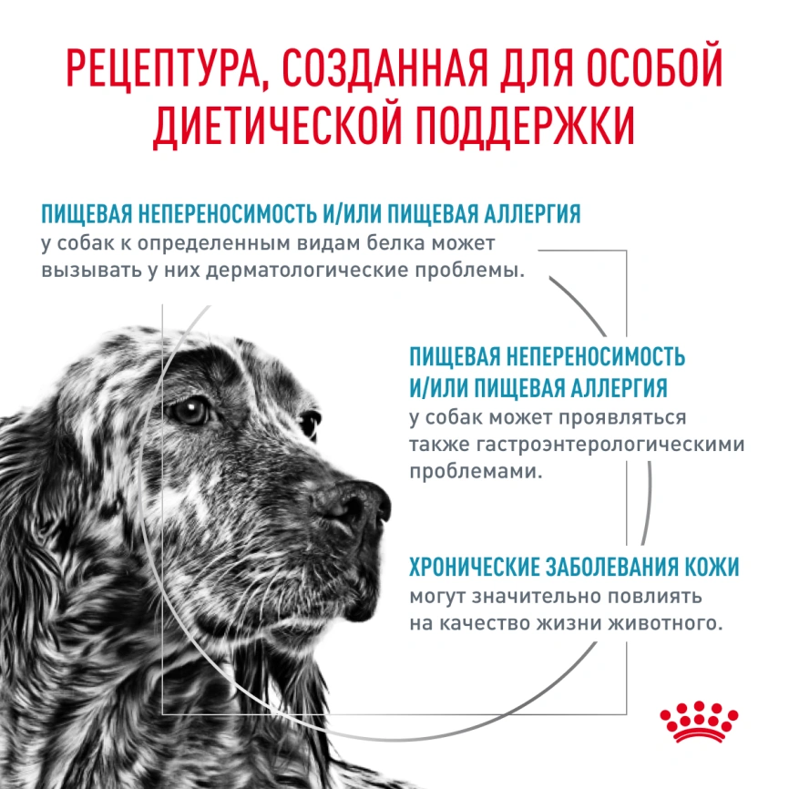 Сухой корм Royal Canin Hypoallergenic для собак, 7 кг фото 4