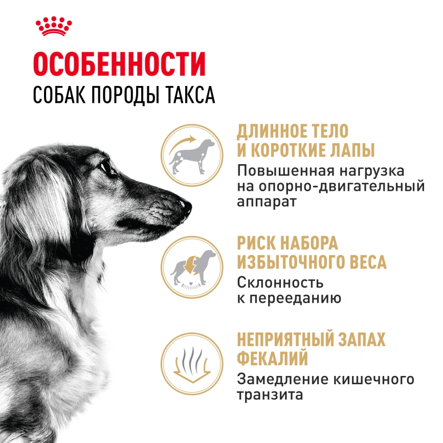 Сухой корм Royal Canin Dachshund Adult для собак породы такса, 7.5 кг фото 2