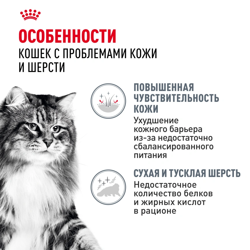 Влажный корм Royal Canin Hair & Skin Care в соусе для взрослых кошек старше 1 года, пауч, 85 г фото 2