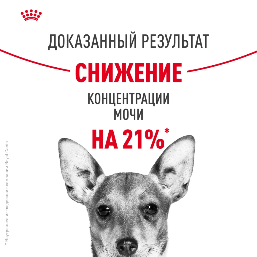 Сухой корм Royal Canin Mini Urinary Care для собак, 1 кг фото 11