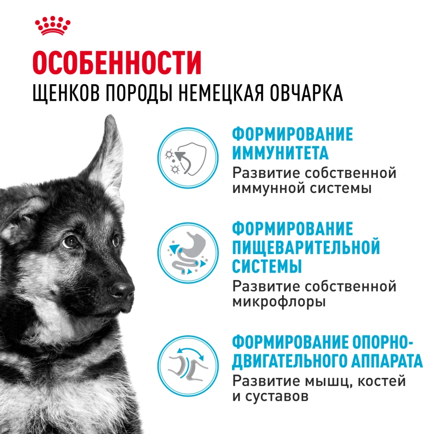 Сухой корм Royal Canin German Shepherd Puppy для щенков, 3 кг фото 2