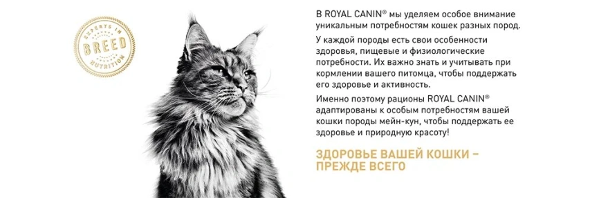 Сухой корм Royal Canin Maine Coon для кошек, 400 г фото 17