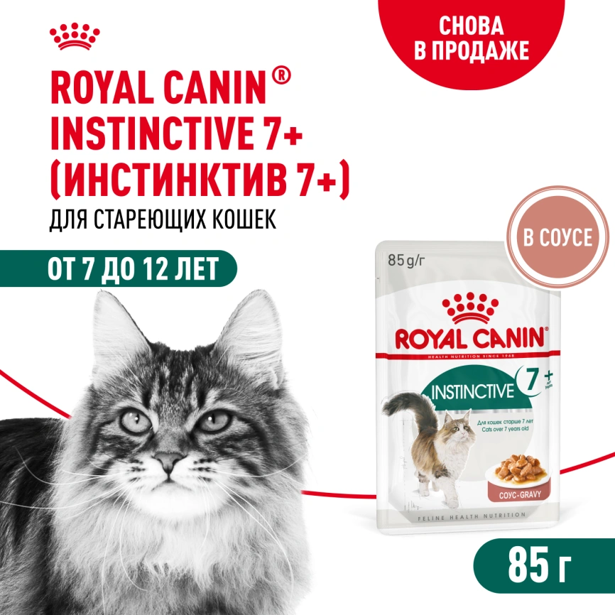 Влажный корм Royal Canin Instinctive 7+ в соусе для кошек старше 7 лет, пауч, 85 г фото 1