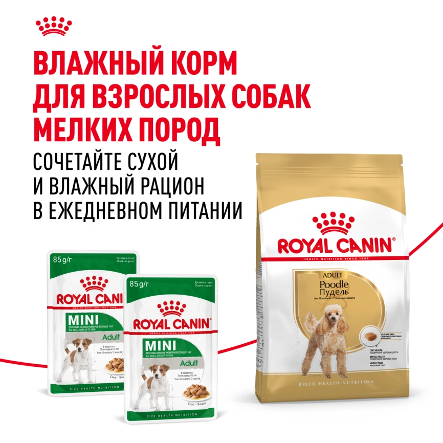 Сухой корм Royal Canin Poodle Adult для взрослых собак, 1.5 кг фото 8