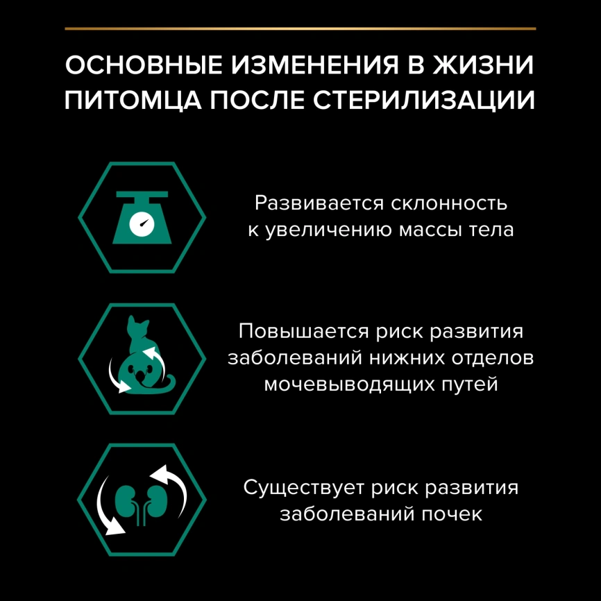 Влажный корм Purina Pro Plan Cat Adult NutriSavour Sterilised для стерилизованных кошек, с индейкой в желе, 85 г фото 3