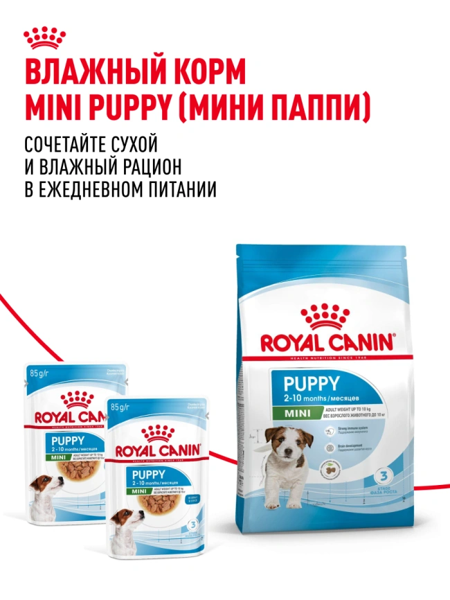 Сухой корм Royal Canin Mini Puppy для щенков, 800 г фото 26