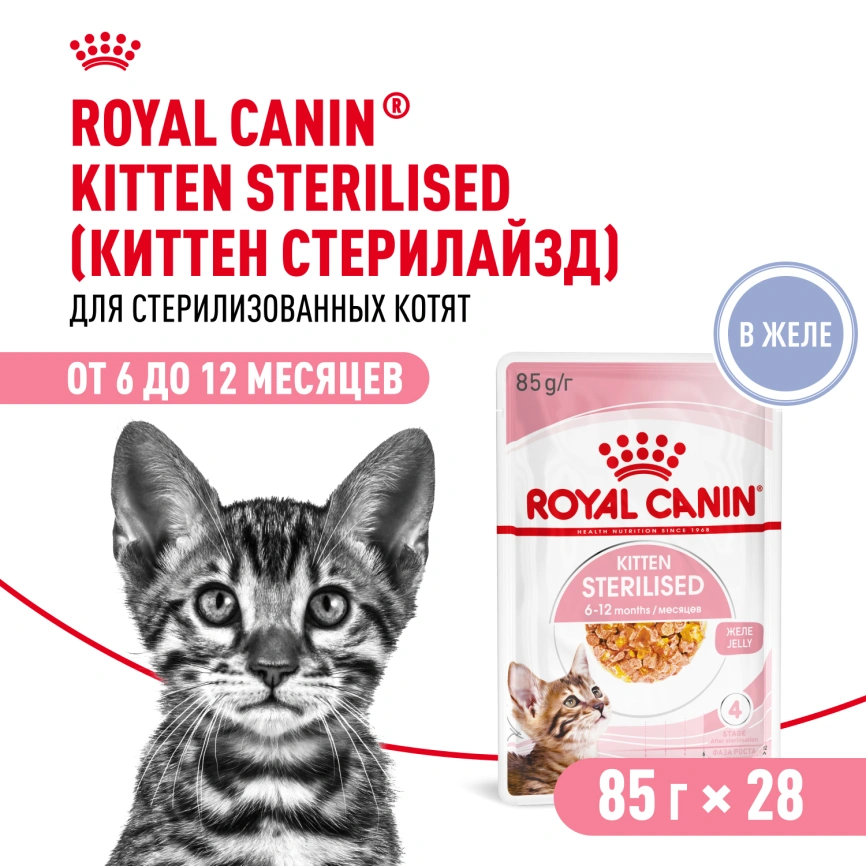 Влажный корм Royal Canin Kitten Sterilised в желе для стерилизованных котят до 12 месяцев, пауч, 85 г фото 12