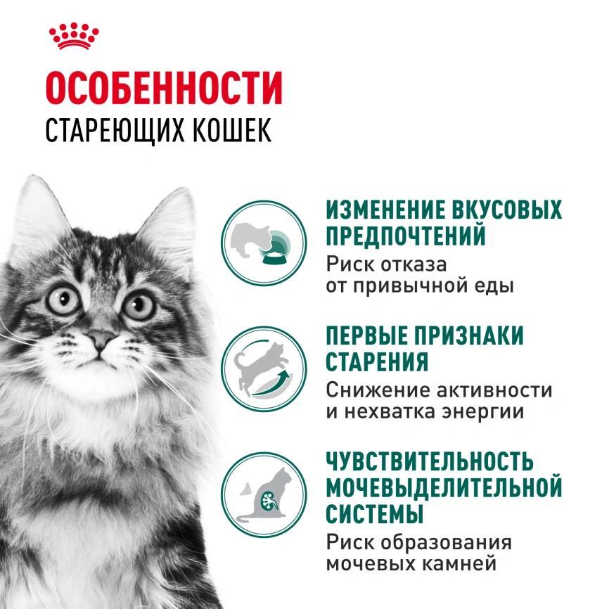 Влажный корм Royal Canin Instinctive 7+ в соусе для кошек старше 7 лет, пауч, 85 г фото 2