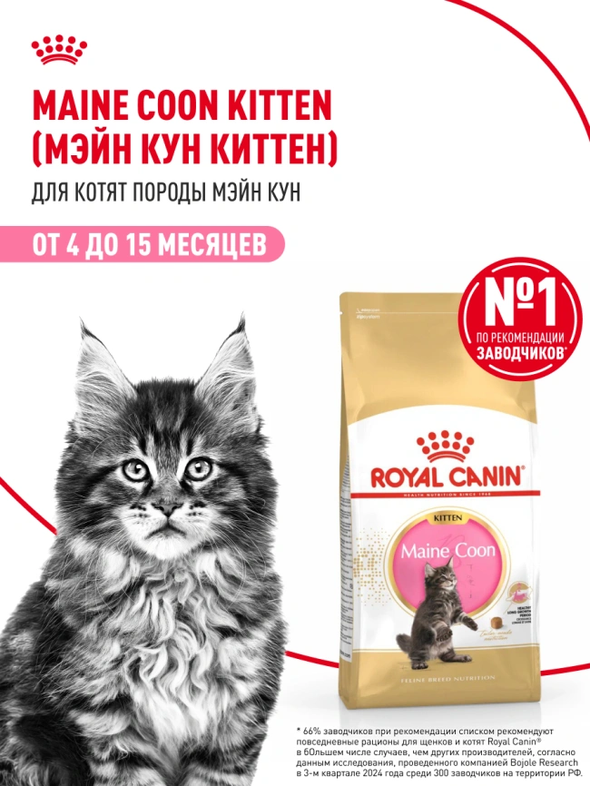Сухой корм Royal Canin Kitten Maine Coon для котят, 4 кг фото 14