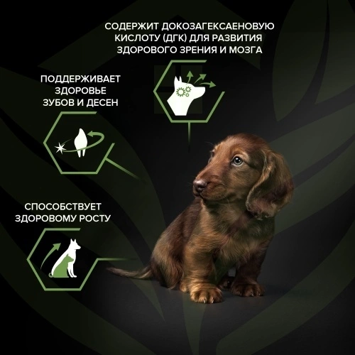 Сухой корм Purina Pro Plan Adult Small & Mini  Puppy Healthy Start для щенков мелких и карликовых пород, курица и рис, 700 г фото 7