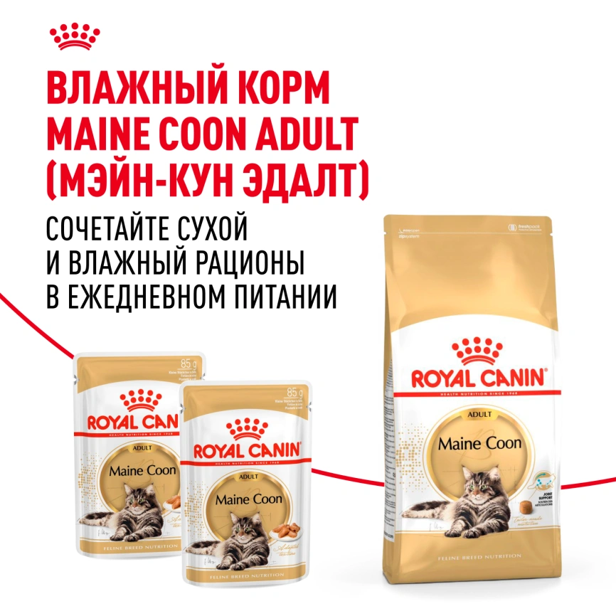 Сухой корм Royal Canin Maine Coon для кошек, 10 кг фото 8
