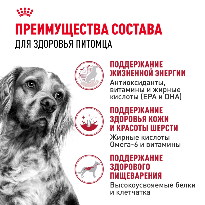 Сухой корм Royal Canin Medium Adult 7+ для собак, 4 кг фото 3