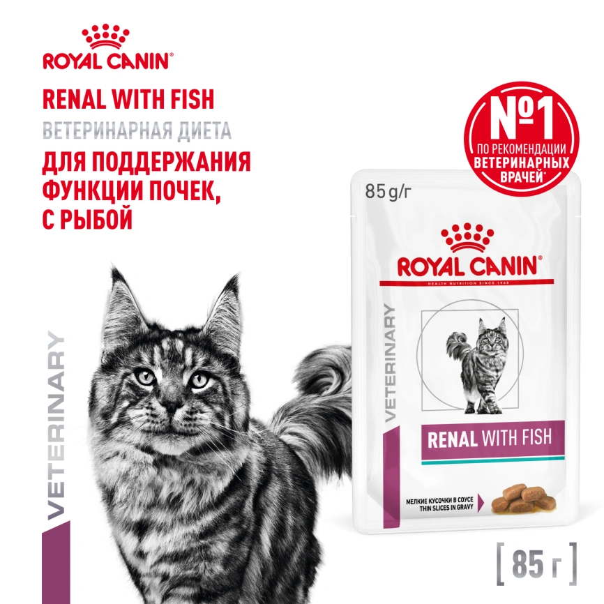 Влажный корм Royal Canin Renal with Fish в соусе для кошек при заболеваниях почек, с рыбой, пауч, 85 г фото 1