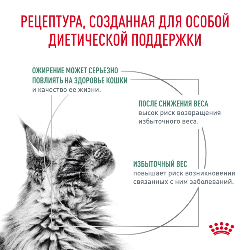 Сухой корм Royal Canin Satiety Weight Management для кошек для снижение веса, 3.5 кг фото 3