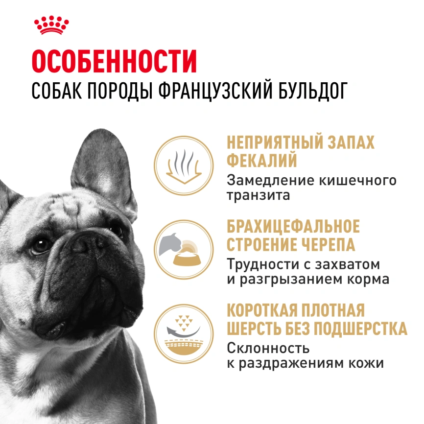 Сухой корм Royal Canin French Bulldog Adult для собак, 3 кг фото 2