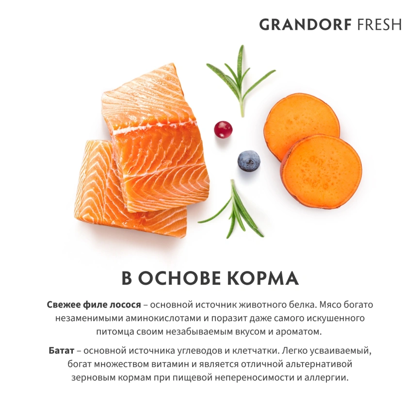 Сухой корм Grandorf Fresh Dog для взрослых собак мелких пород для здоровья кожи и шерсти лосось с бататом 3 кг фото 6