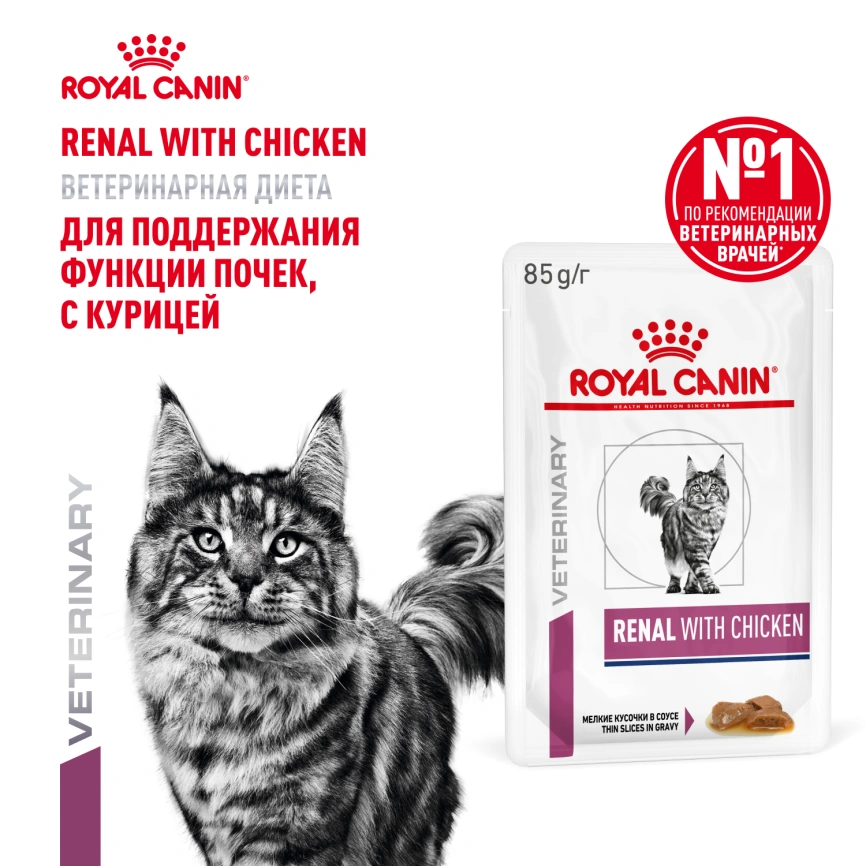 Влажный корм Royal Canin Renal Chicken для кошек при заболеваниях почек, в соусе, с курицей, пауч, 85 г фото 14