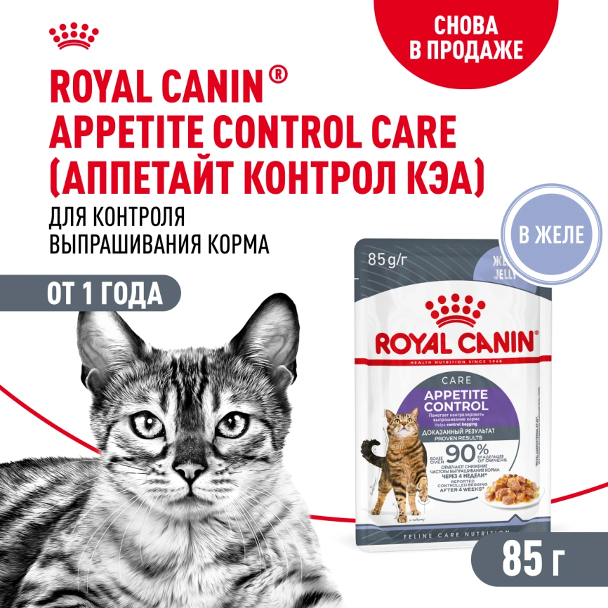 Влажный корм Royal Canin Appetite Control Care в желе для взрослых кошек, для контроля выпрашивания корма, пауч, 85 г фото 1