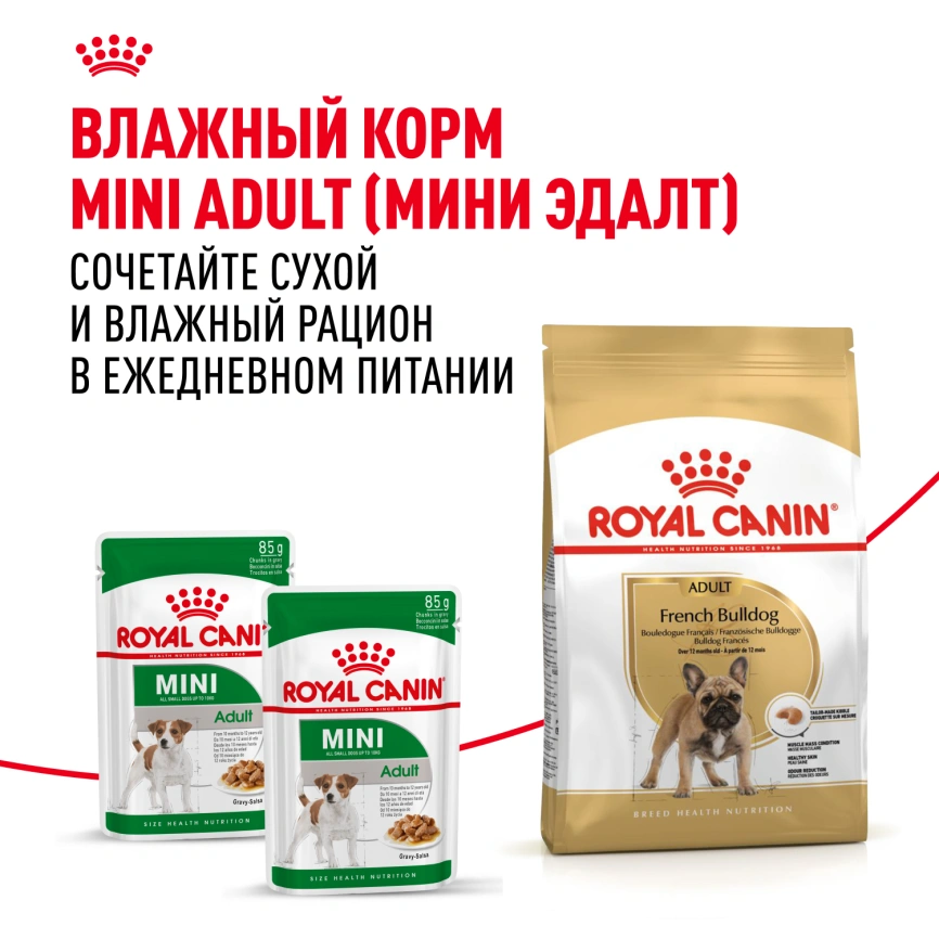 Сухой корм Royal Canin French Bulldog Adult для собак, 3 кг фото 8