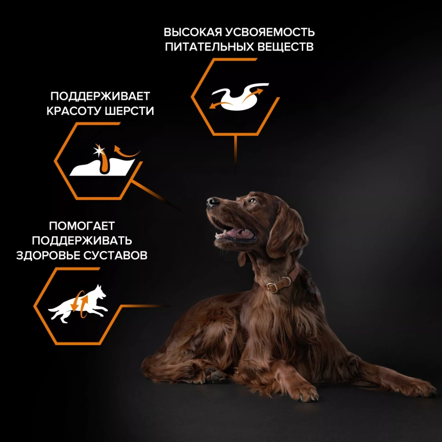 Сухой корм PRO PLAN Lamb для взрослых собак крупных пород с атлетическим телосложением с чувствительным пищеварением, с высоким содержанием ягненка, 14 кг фото 2