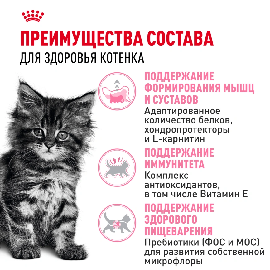 Сухой корм Royal Canin Kitten Maine Coon для котят, 10 кг фото 3
