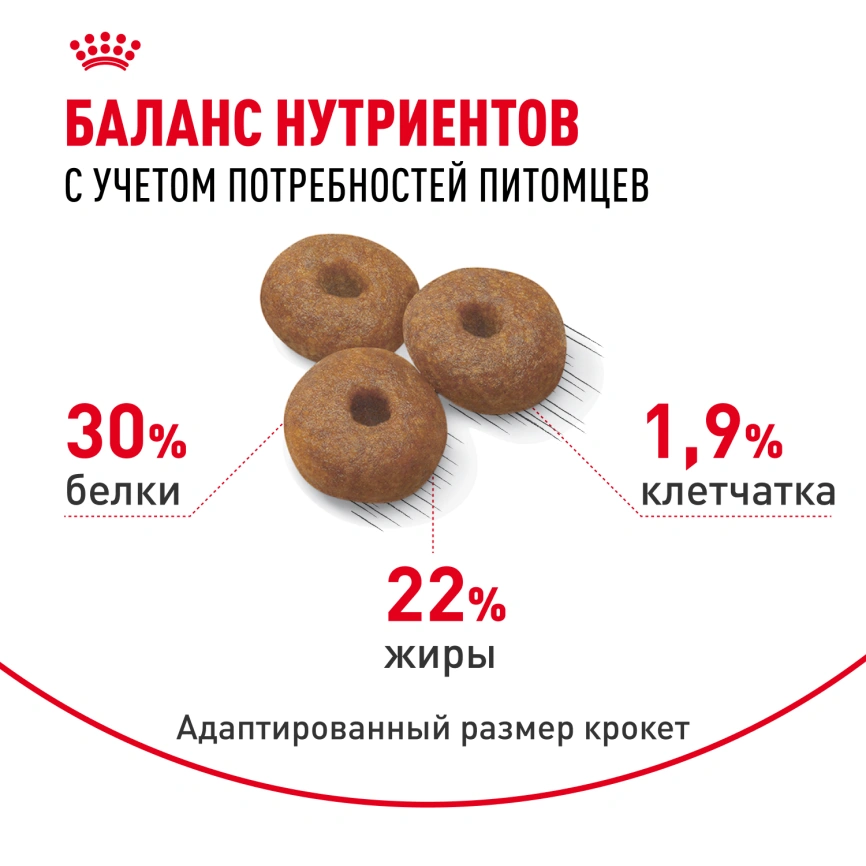 Сухой корм Royal Canin Maxi Starter Mother & Babydog для собак, 4 кг фото 10