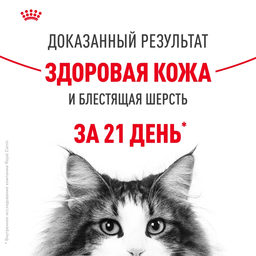 Влажный корм Royal Canin Hair & Skin Care в соусе для взрослых кошек старше 1 года, пауч, 85 г фото 4