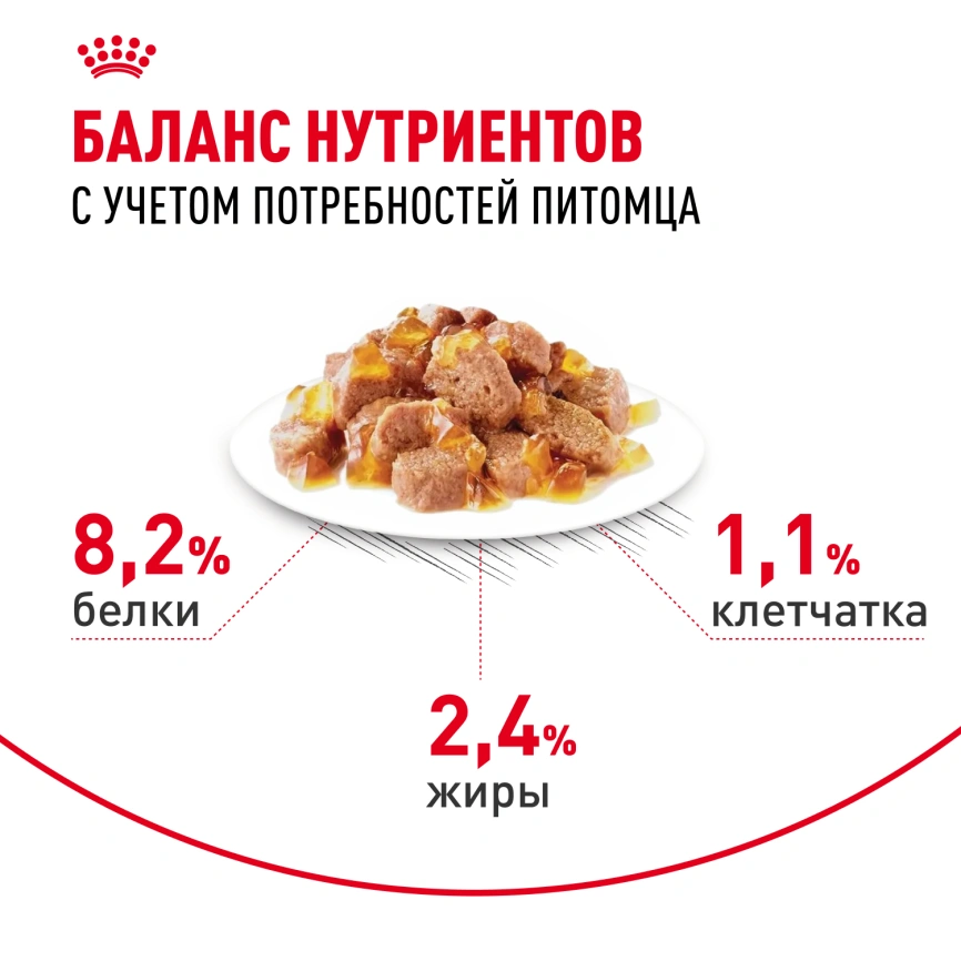 Влажный корм Royal Canin Appetite Control Care в желе для взрослых кошек, для контроля выпрашивания корма, пауч, 85 г фото 4