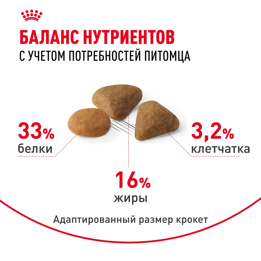 Сухой корм Royal Canin Savour Exigent для кошек, 2 кг фото 4