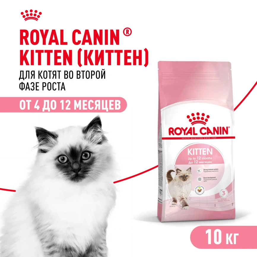 Сухой корм Royal Canin Kitten для котят, 10 кг фото 1