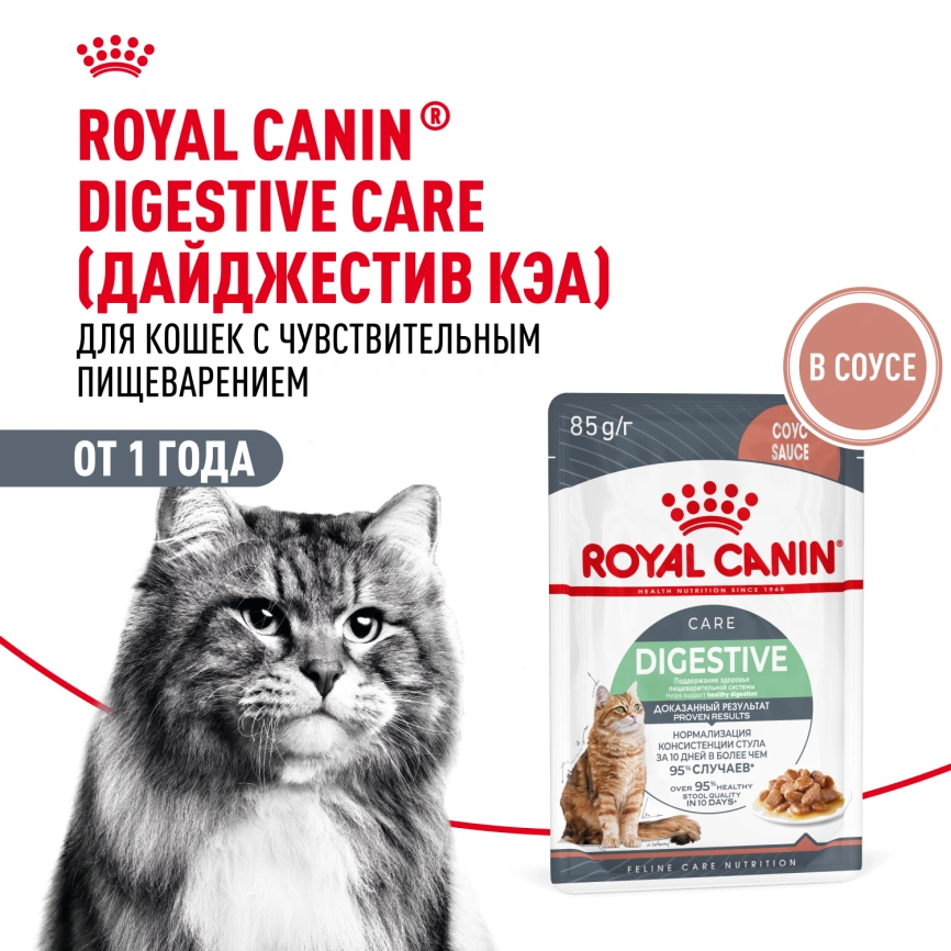 Влажный корм Royal Canin Digest Sensitive в соусе для улучшения пищеварения у взрослых кошек старше 1 года, пауч, 85 г фото 16