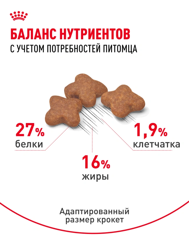 Сухой корм Royal Canin Mini Adult для взрослых собак, 800 фото 18