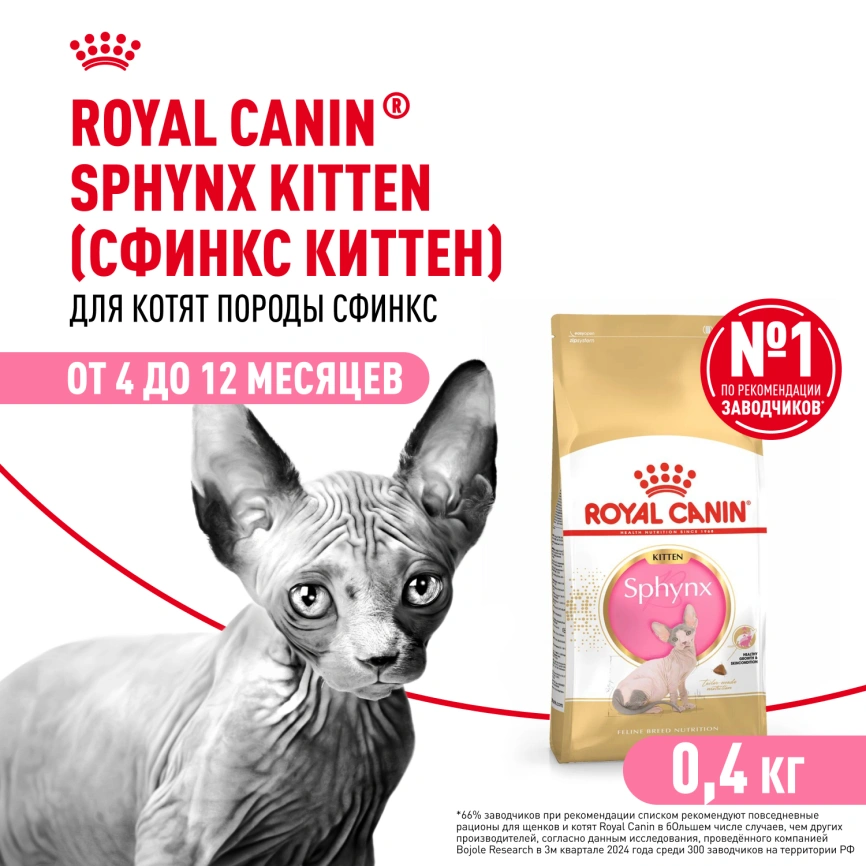 Сухой корм Royal Canin Kitten Sphynx для котят, 400 г фото 1