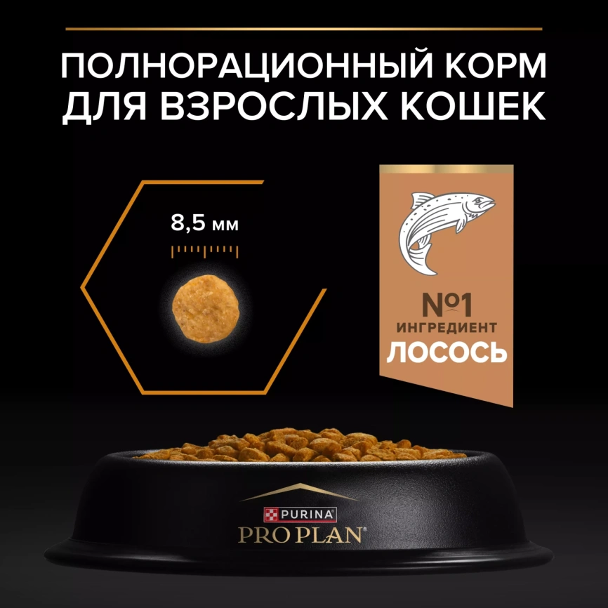 Сухой корм PRO PLAN Salmon для здоровья шерсти и кожи взрослых кошек, с высоким содержанием лосося, 10 кг фото 5