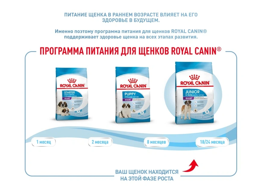 Сухой корм Royal Canin Giant Junior для щенков, 3.5 кг фото 15