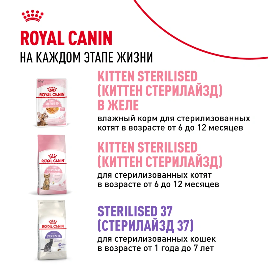 Влажный корм Royal Canin Kitten в соусе для котят до 12 месяцев, пауч, 85 г фото 17
