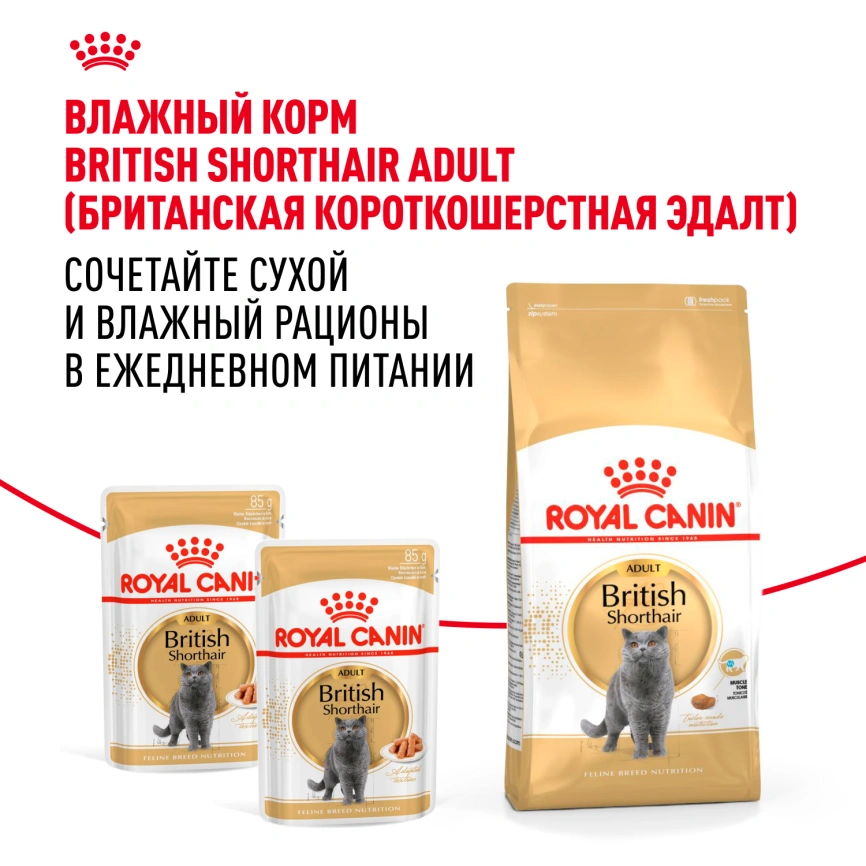 Сухой корм Royal Canin British Shorthair для кошек породы британская короткошерстная, 400 г фото 8