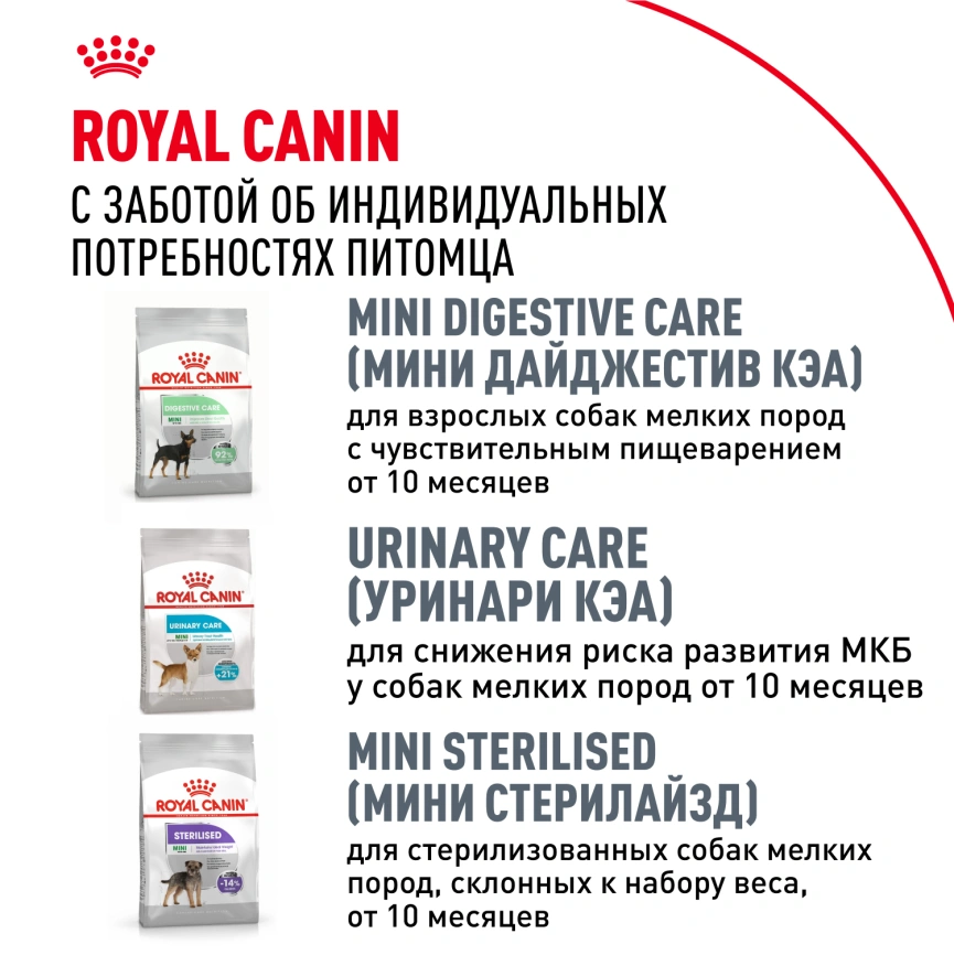 Сухой корм Royal Canin Chihuahua Adult для собак породы чихуахуа, 500 г фото 10