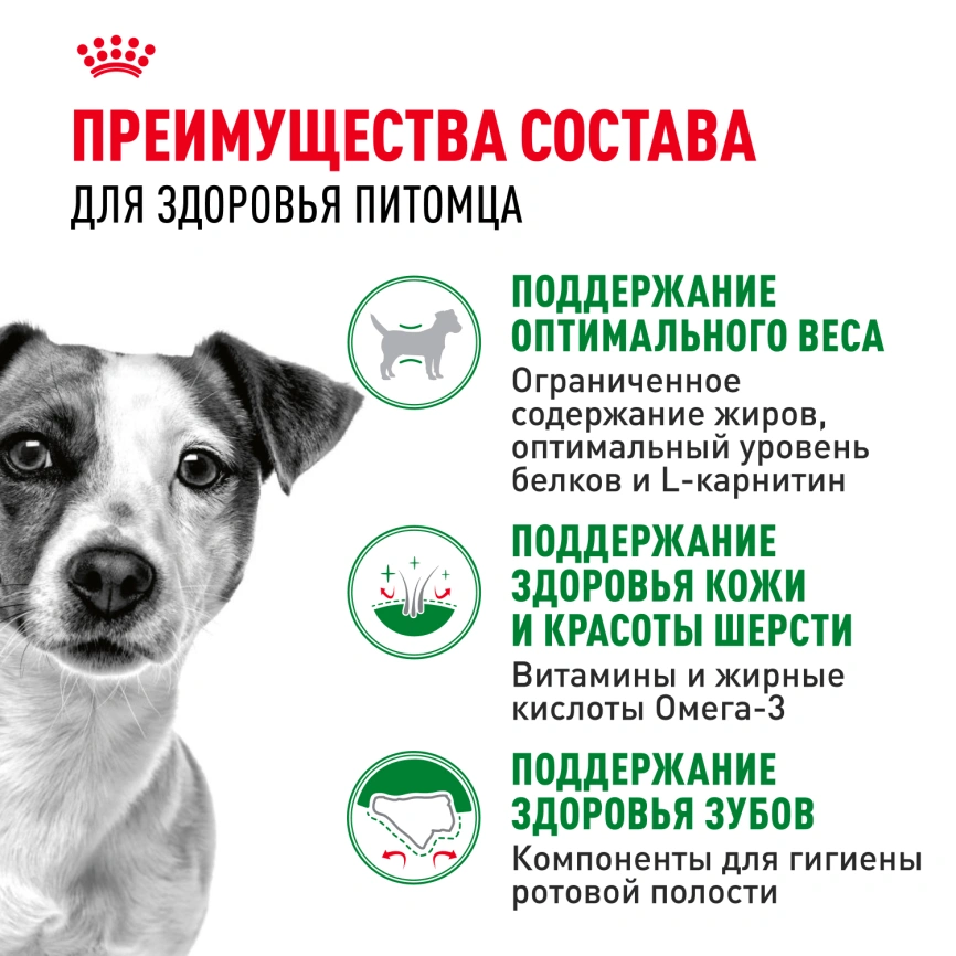 Сухой корм Royal Canin Mini Adult для взрослых собак, 800 фото 3