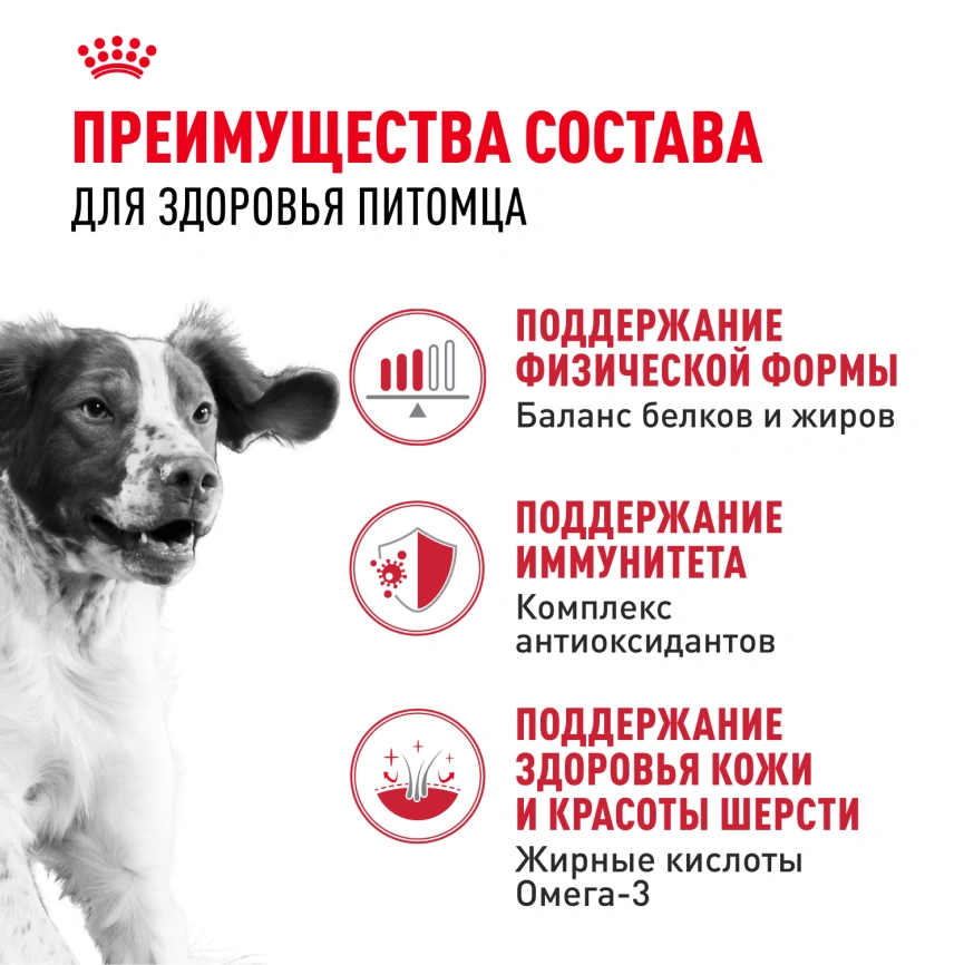 Сухой корм Royal Canin Medium Adult для собак, 15 кг фото 3
